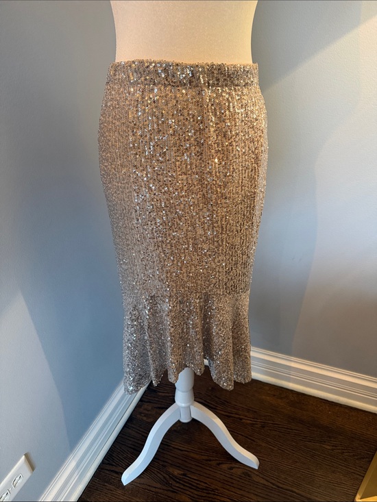 Cable & Gauge Dresses & Skirts - Cable & Gauge Champagne Sequin Midi Skirt